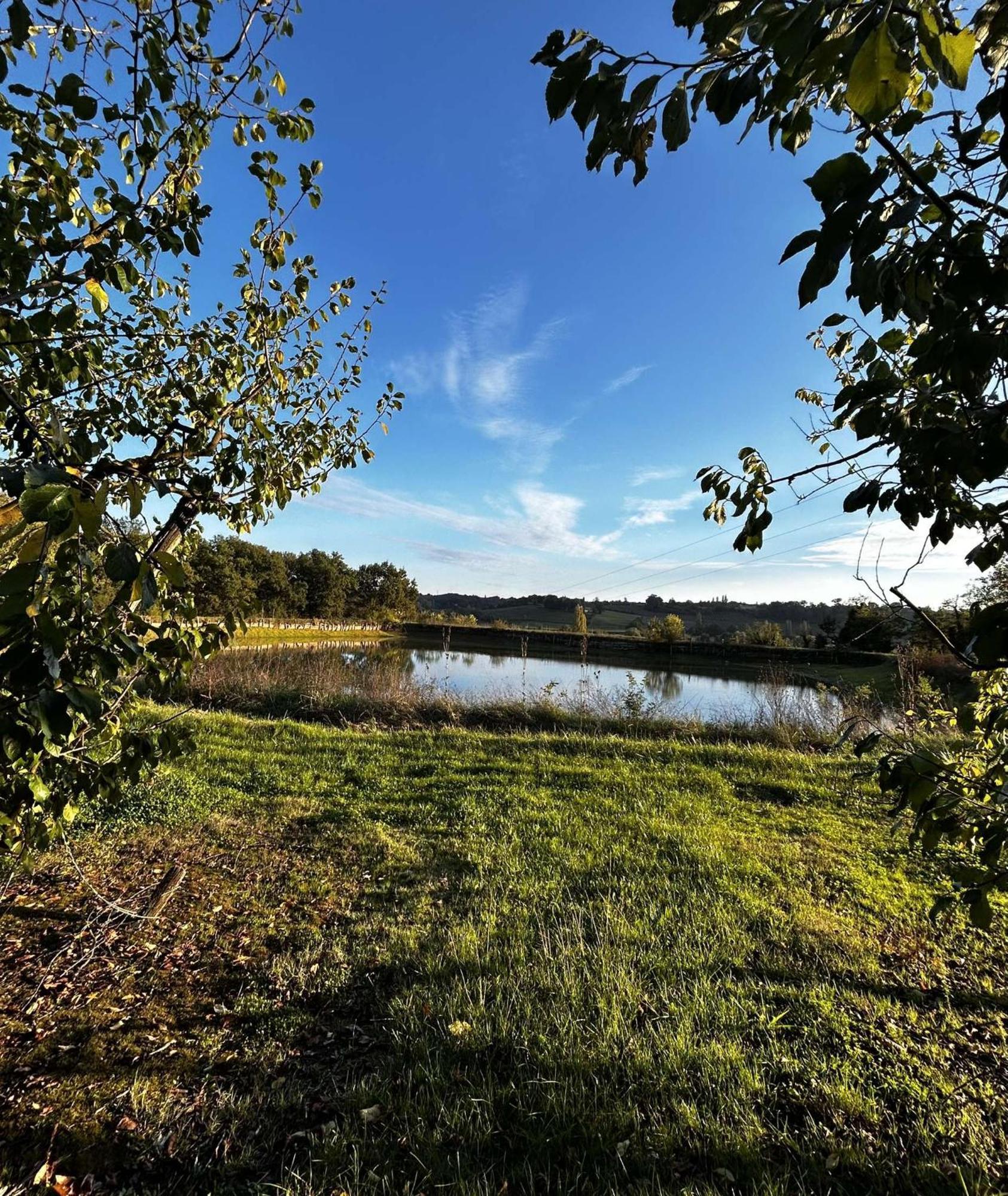 Gite La Garrigue Montbarla المظهر الخارجي الصورة